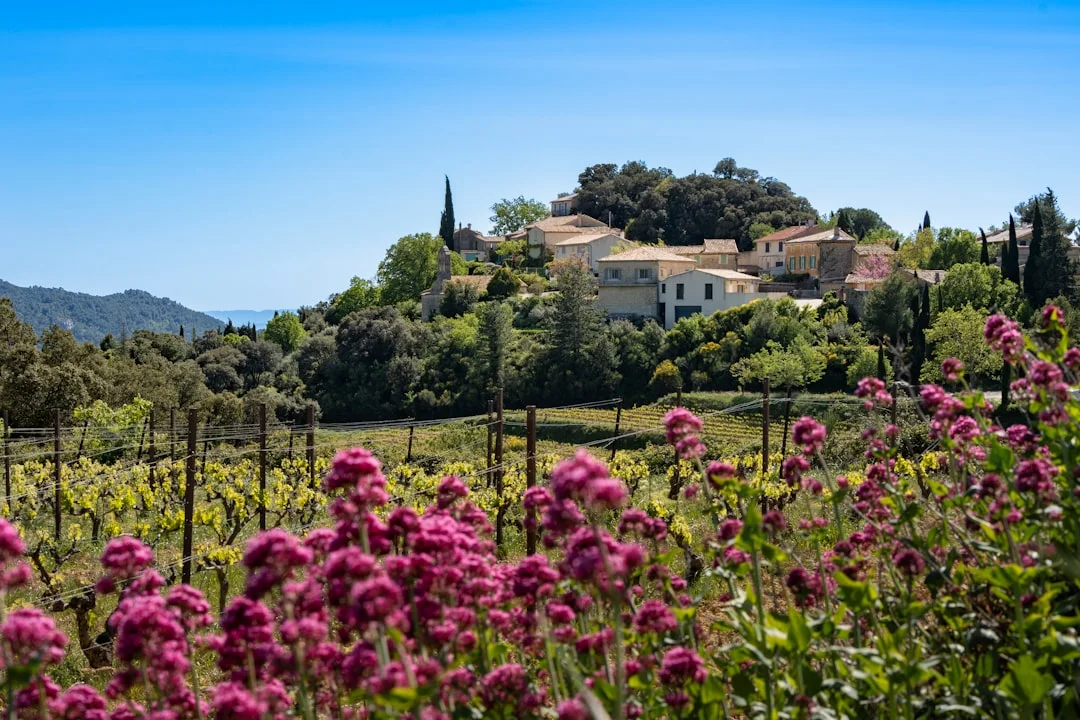 Que faire à Forcalquier en 2026 : visites, activités, bons plans