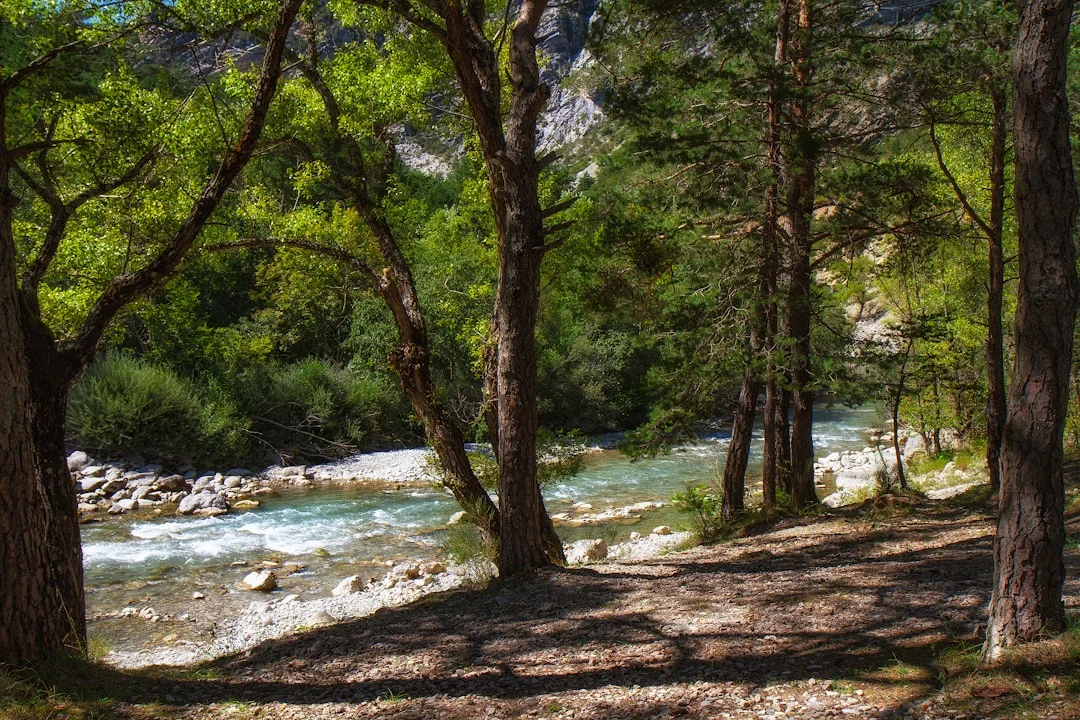 Quelle rivière passe à Manosque ? La Durance, l&rsquo;Asse et les spots baignade