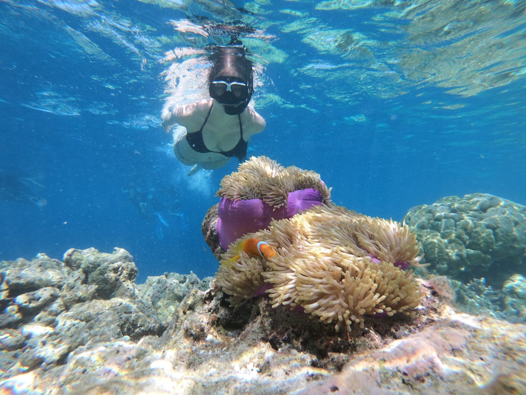 Que faire aux îles Raja Ampat : les activités incontournables