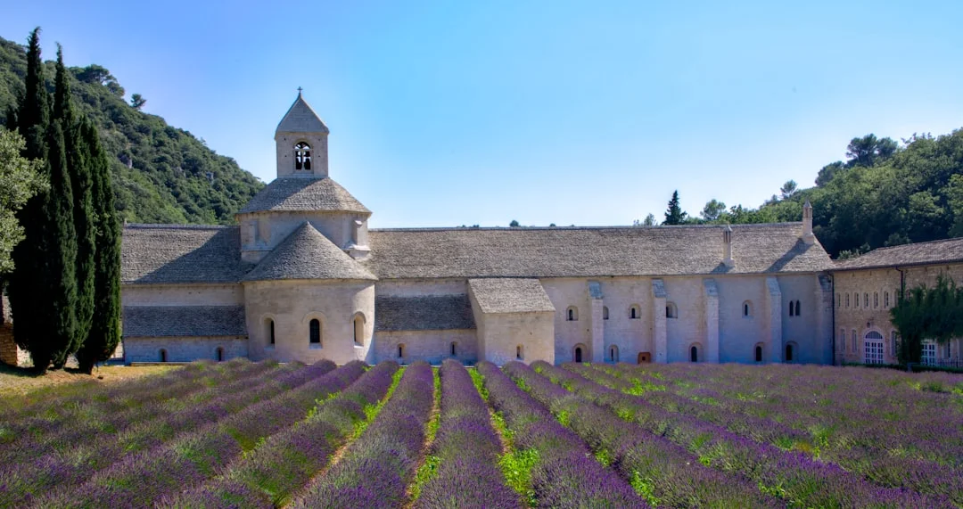 Architecture et cadre du château - chateau de sauvan