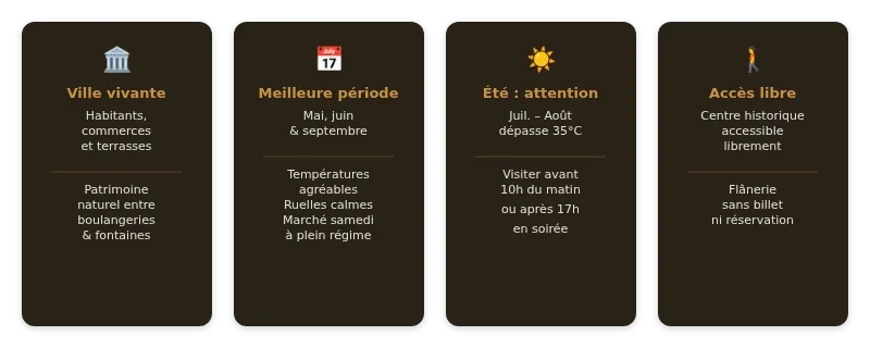 Infographie Centre historique Manosque