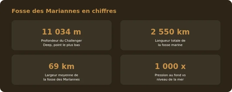 Infographie fosse des mariannes