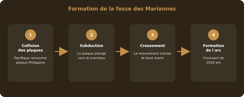 Infographie fosse des mariannes