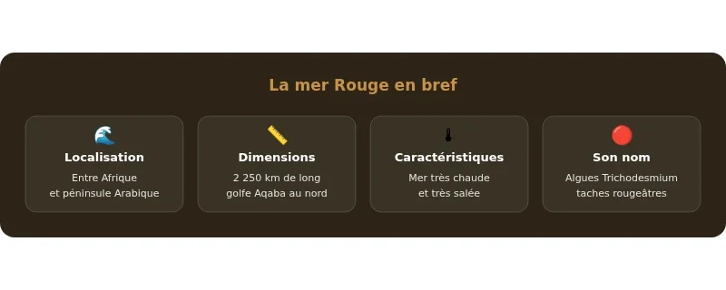 Infographie mer rouge
