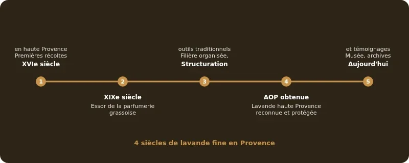 Infographie musée de la lavande luberon