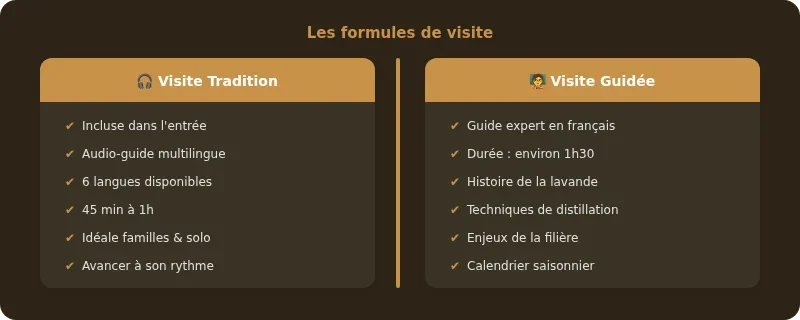 Infographie musée de la lavande luberon