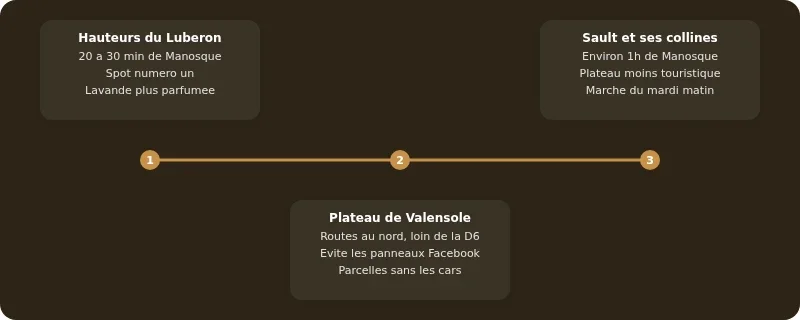 Infographie champs de lavandes